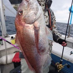 ARCADIAⅡ （アルカディアⅡ） 釣果