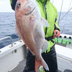 ARCADIAⅡ （アルカディアⅡ） 釣果