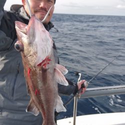 ARCADIAⅡ （アルカディアⅡ） 釣果