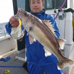 ARCADIAⅡ （アルカディアⅡ） 釣果