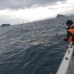 ARCADIAⅡ （アルカディアⅡ） 釣果