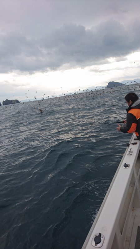 ARCADIAⅡ （アルカディアⅡ） 釣果