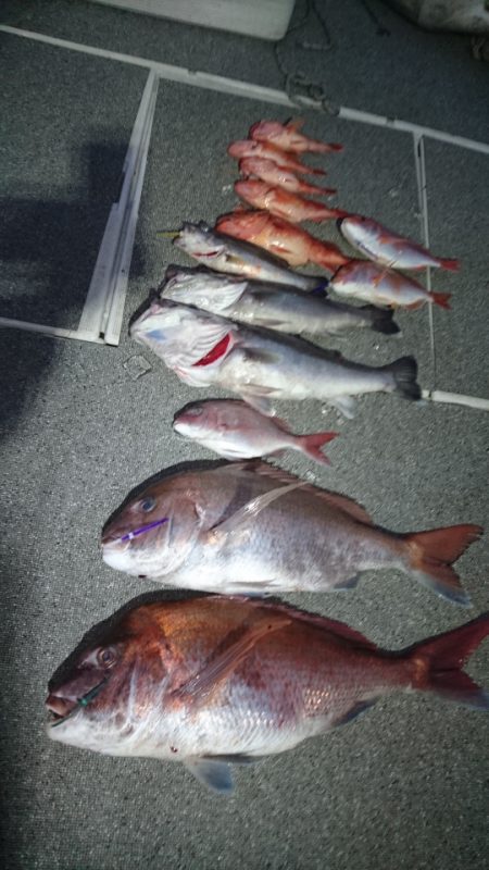 ARCADIAⅡ （アルカディアⅡ） 釣果