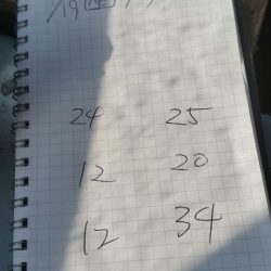 金沢八景鴨下丸 釣果