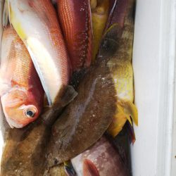 第二龍勢丸 釣果