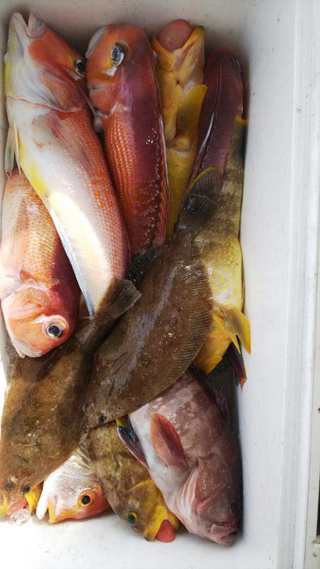 第二龍勢丸 釣果