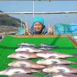 海の釣堀 海恵 釣果