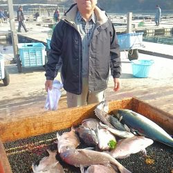 海の釣堀 海恵 釣果