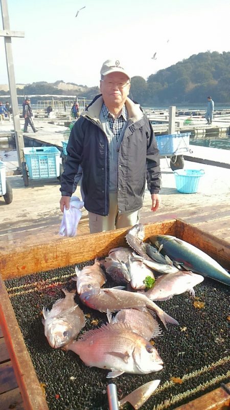 海の釣堀 海恵 釣果