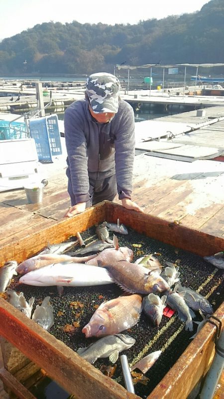 海の釣堀 海恵 釣果