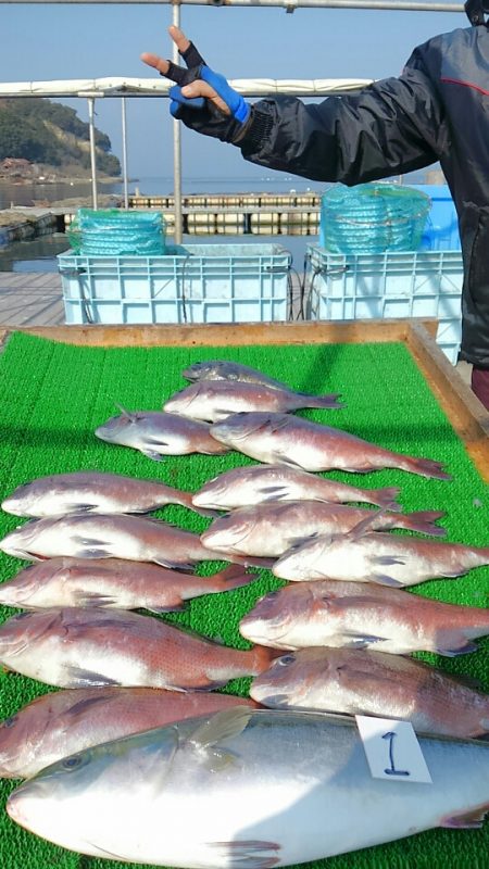 海の釣堀 海恵 釣果