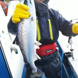 芳陽丸 釣果