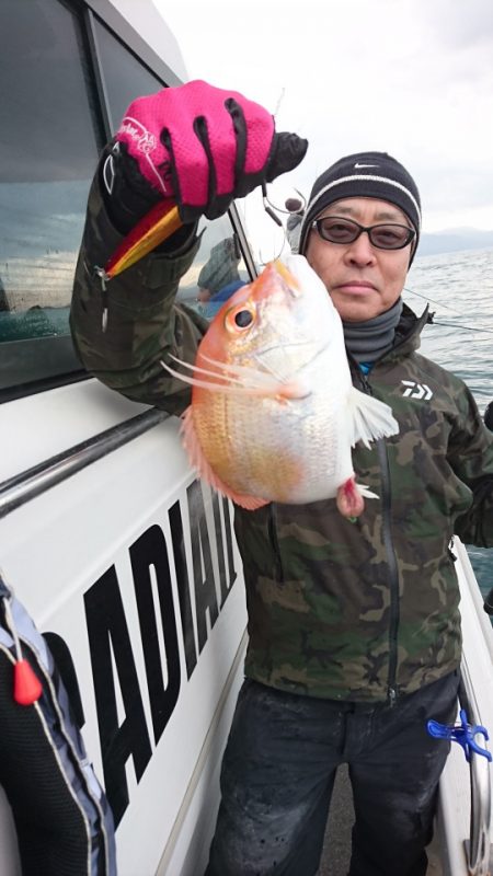 ARCADIAⅡ (アルカディアⅡ) 釣果