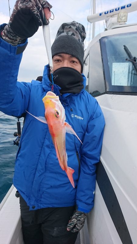 ARCADIAⅡ (アルカディアⅡ) 釣果