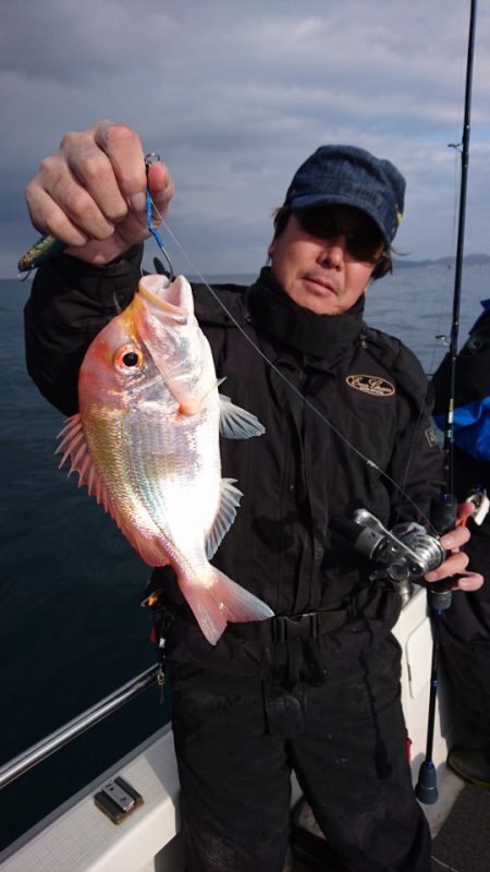 ARCADIAⅡ (アルカディアⅡ) 釣果