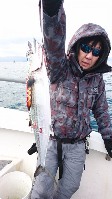 ARCADIAⅡ (アルカディアⅡ) 釣果