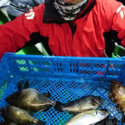 小島丸 釣果