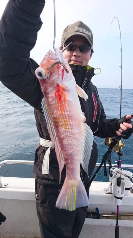 ARCADIAⅡ （アルカディアⅡ） 釣果