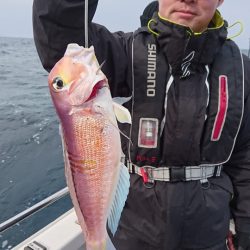 ARCADIAⅡ （アルカディアⅡ） 釣果