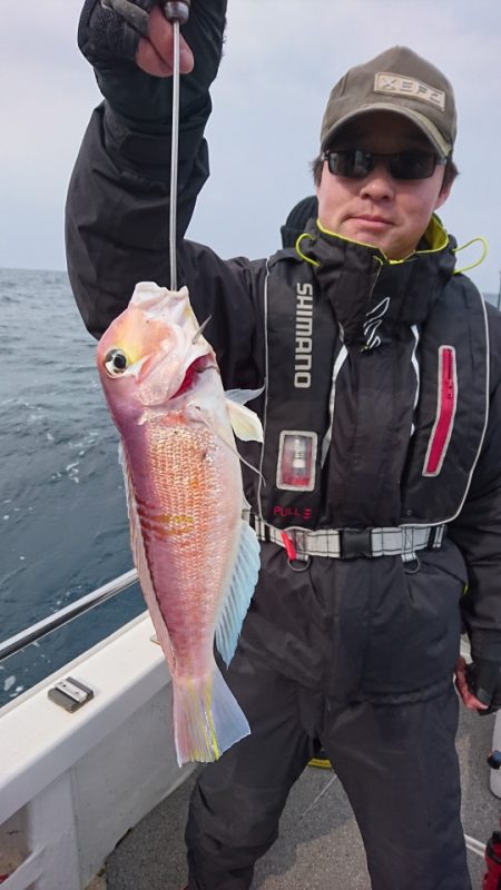 ARCADIAⅡ （アルカディアⅡ） 釣果