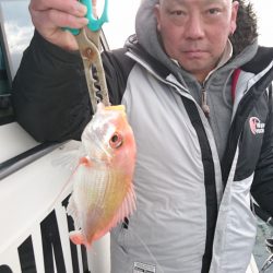 ARCADIAⅡ （アルカディアⅡ） 釣果