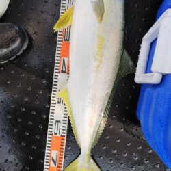 第二龍勢丸 釣果