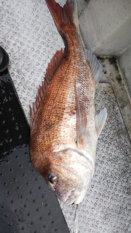 第二龍勢丸 釣果