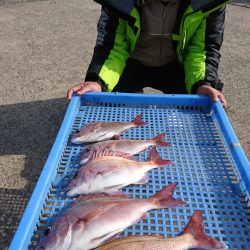 第三共栄丸 釣果