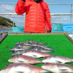 海の釣堀 海恵 釣果