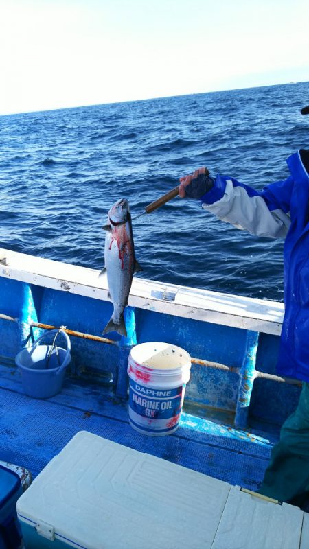 芳陽丸 釣果