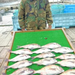 海の釣堀 海恵 釣果