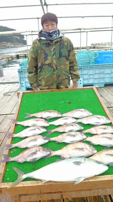海の釣堀 海恵 釣果