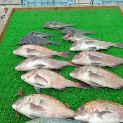 海の釣堀 海恵 釣果