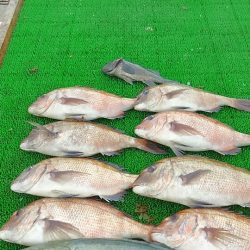 海の釣堀 海恵 釣果