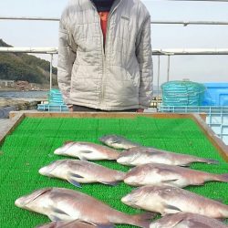 海の釣堀 海恵 釣果
