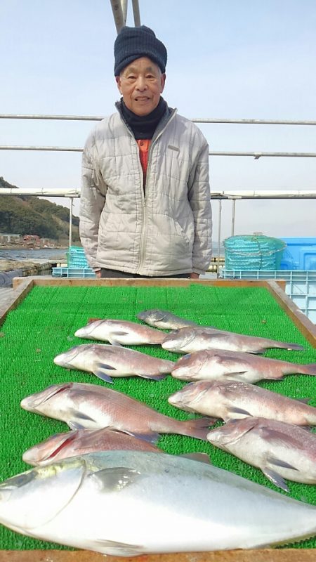 海の釣堀 海恵 釣果