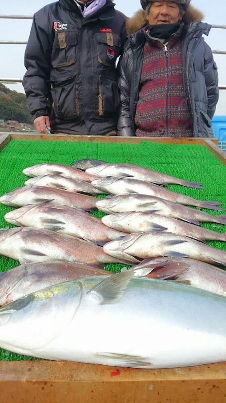海の釣堀 海恵 釣果