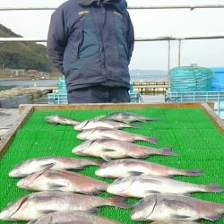 海の釣堀 海恵 釣果