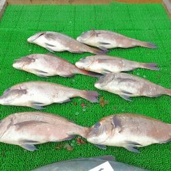 海の釣堀 海恵 釣果