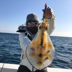 South Current 釣果