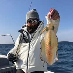 South Current 釣果