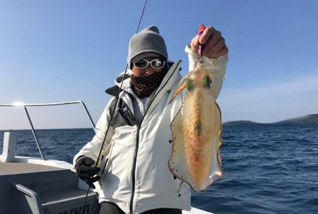 South Current 釣果