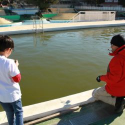 としまえんフィッシングエリア 釣果