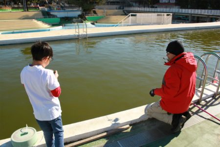 としまえんフィッシングエリア 釣果