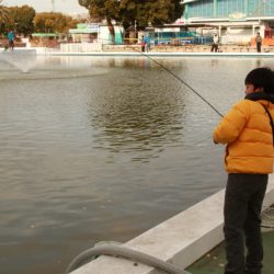 としまえんフィッシングエリア 釣果