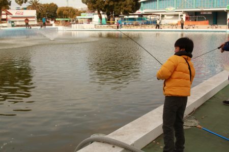 としまえんフィッシングエリア 釣果