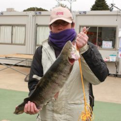 としまえんフィッシングエリア 釣果