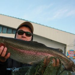 としまえんフィッシングエリア 釣果