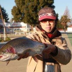 としまえんフィッシングエリア 釣果