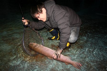 としまえんフィッシングエリア 釣果